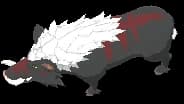 Elder Scrofa