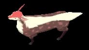 Female Cervus