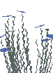 Basic Wispweave Plant