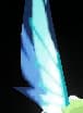 Insect Wing
