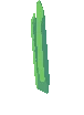 Tree Seed