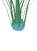 Basic Starbulb Plant