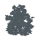 TEST BirdSpawn