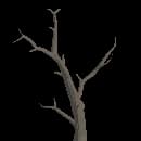 Dead Tree