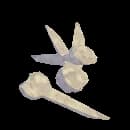 Fossils