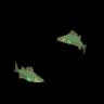 Chummed Ocean Fish School