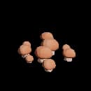 Button Mushrooms