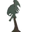 Mature Pine Tree