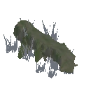 Rotten Log