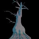 Planted Willow Tree